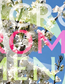 n-spring